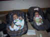 Twins.jpg (46717 bytes)