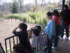 BisonViewing-03-02.jpg (78232 bytes)