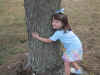 treehuggerColleen.jpg (106239 bytes)