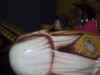 banana-4-30-2002.jpg (29780 bytes)
