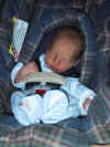 seanCarseat.jpg (48384 bytes)