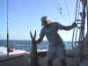 HeavyFish.jpg (49446 bytes)