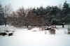 BackLotWinterland.jpg (95613 bytes)