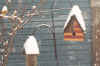 BirdHouse.jpg (55705 bytes)