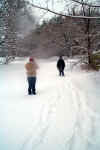 RealSnow.jpg (154174 bytes)