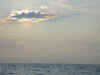 Tuna0019.JPG (57258 bytes)