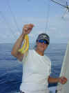 Tuna0030.JPG (54289 bytes)