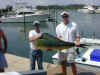 Tuna0033.JPG (68085 bytes)