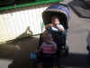 StrollerTwins.jpg (83187 bytes)