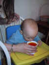 Slurp.jpg (48444 bytes)