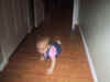 CrawlingGirl.jpg (40157 bytes)
