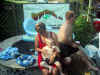 Margaritaville-PA.jpg (97994 bytes)