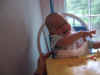 HappyInjuredBoy.jpg (39346 bytes)