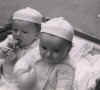 TheOriginalAdamsTwins2.jpg (31552 bytes)